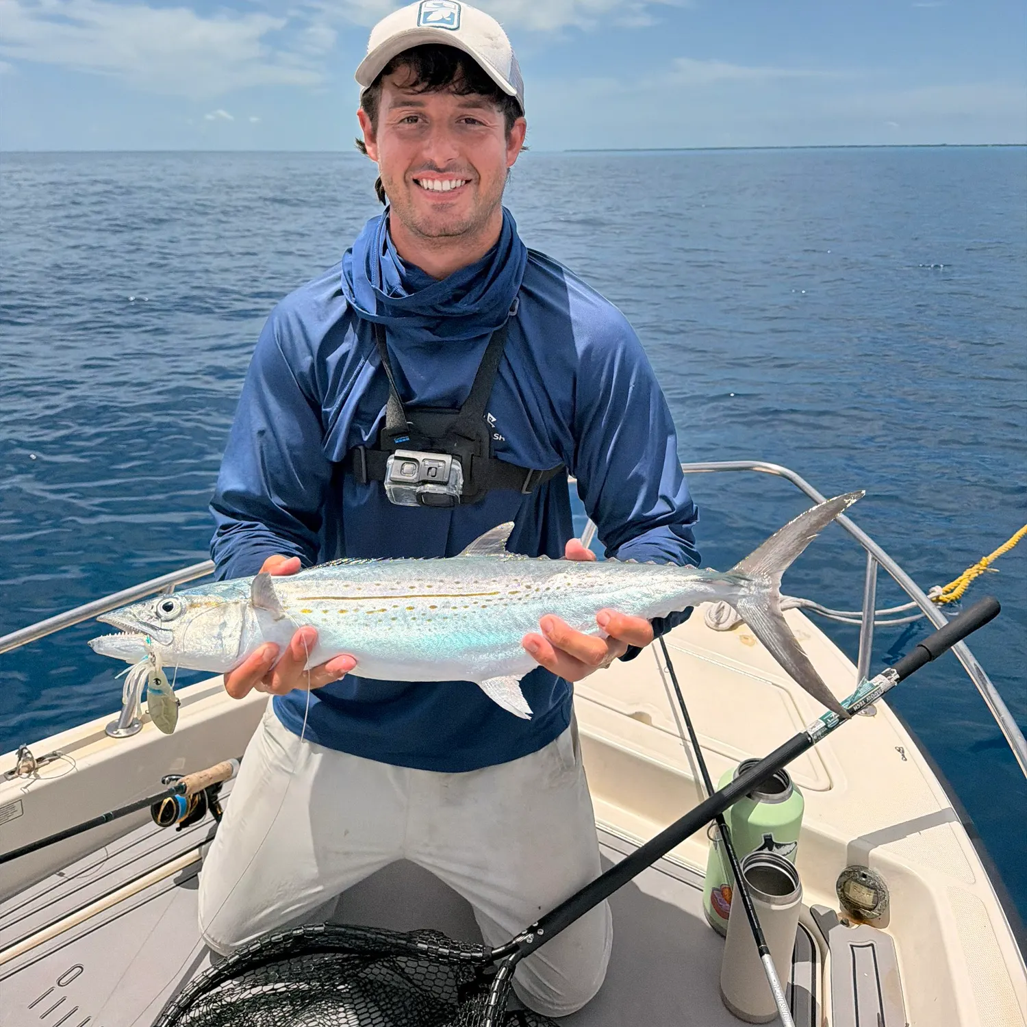 The most recent Cero mackerel catches on Fishbrain