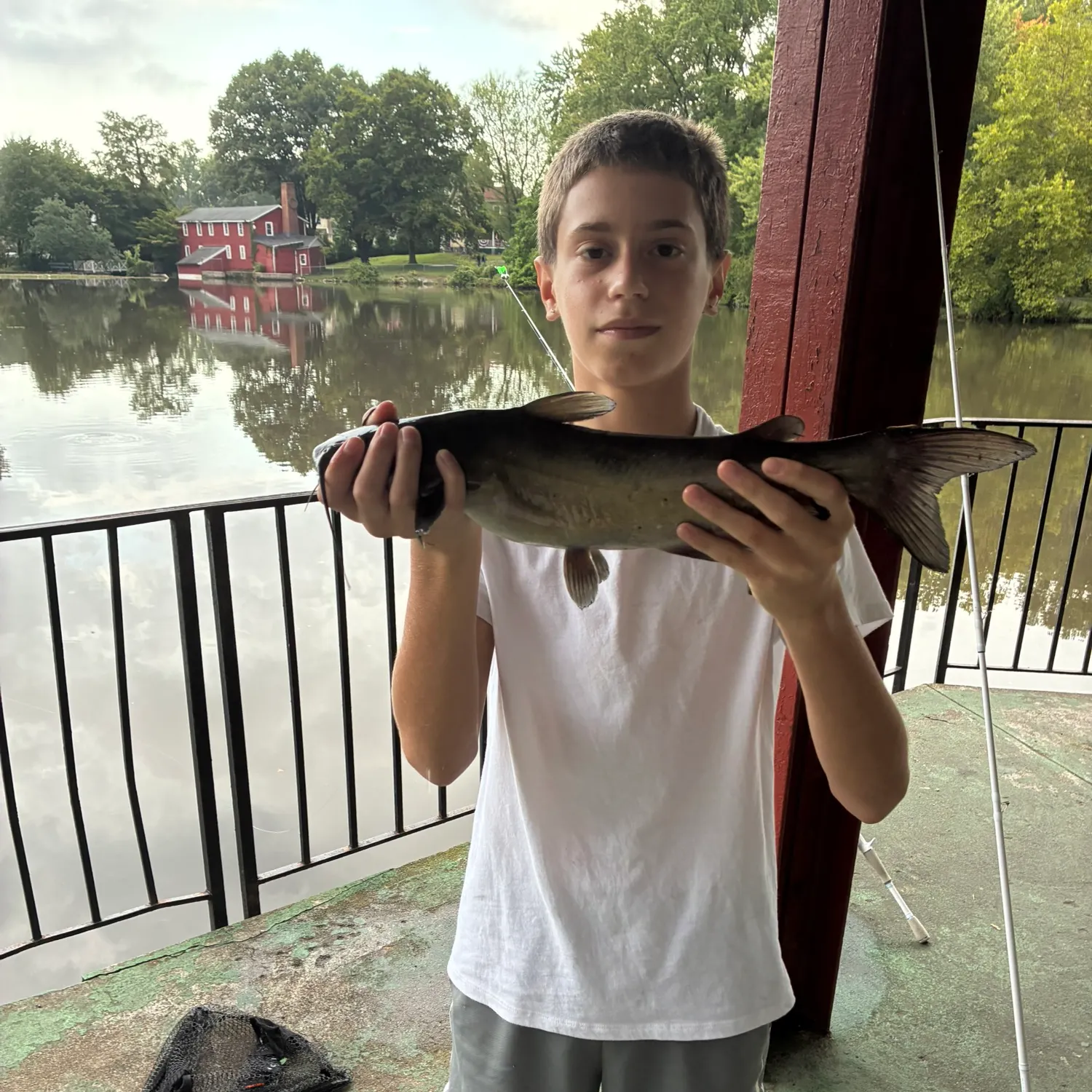 Channel catfish caught on Fishbrain