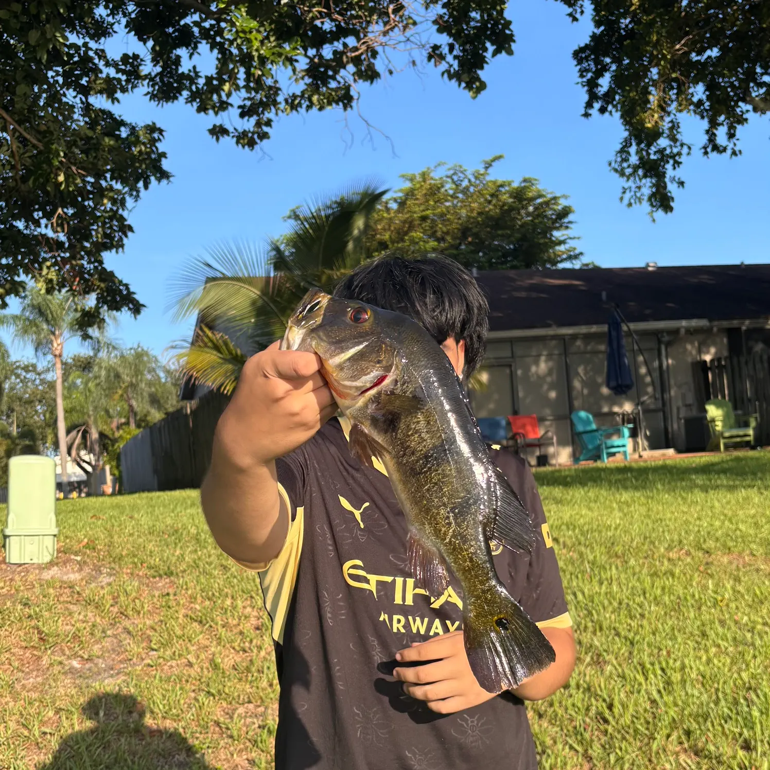 Butterfly peacock bass caught on Fishbrain