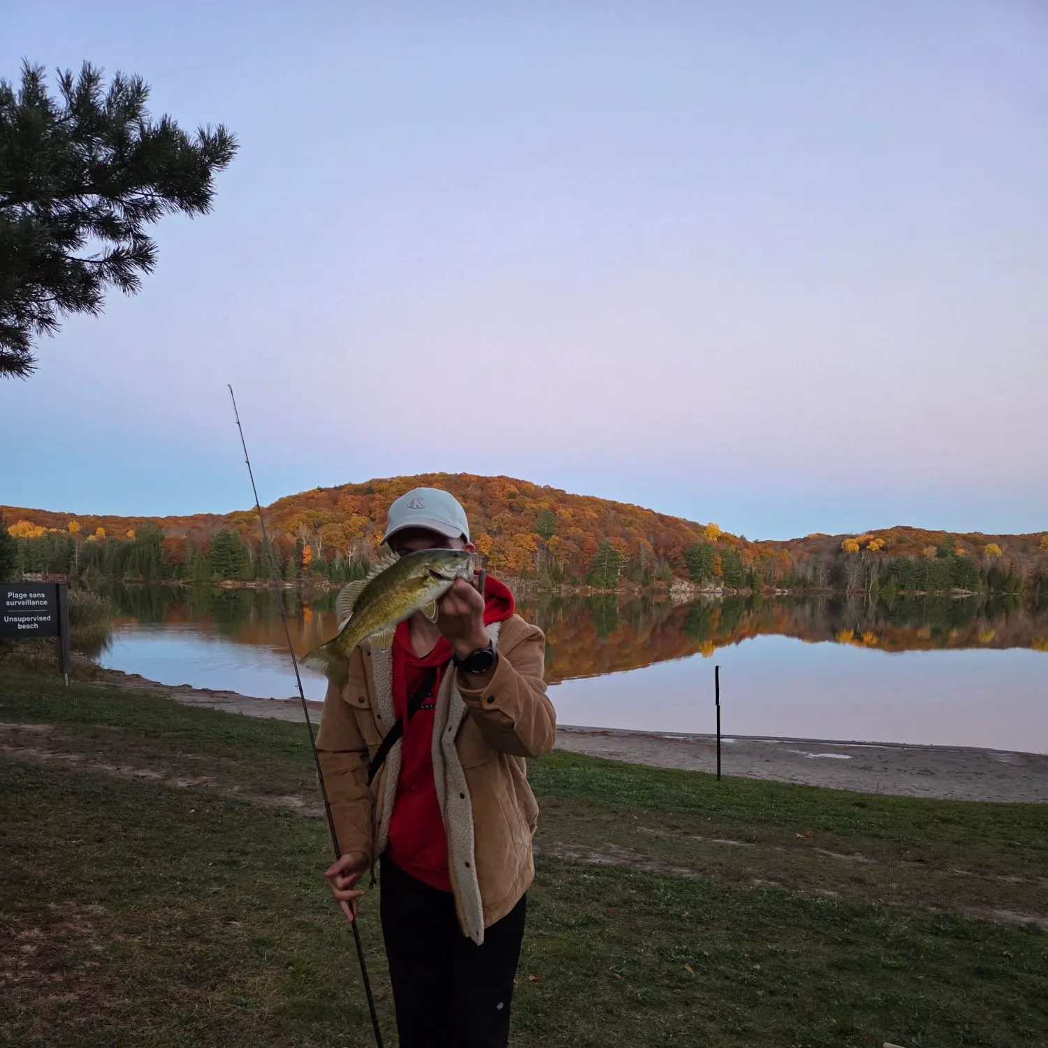 Smallmouth bass caught on Fishbrain