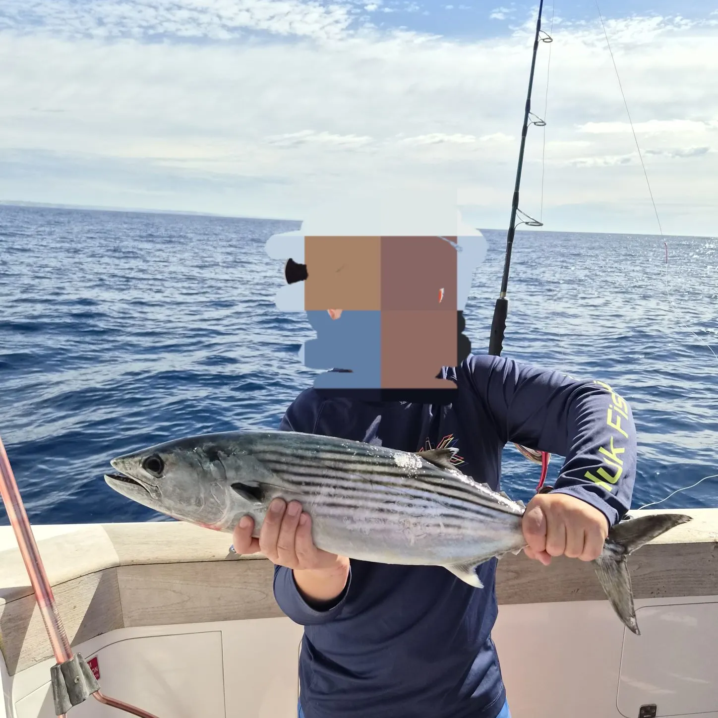 The most recent Striped bonito catches on Fishbrain