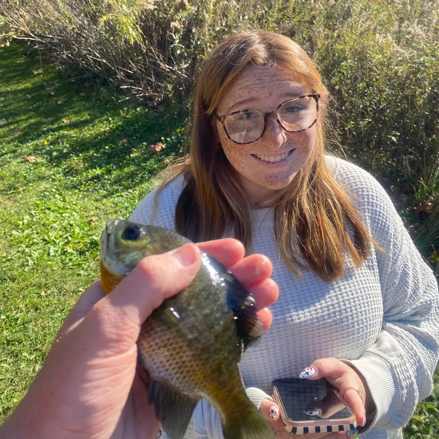 Bluegill caught on Fishbrain