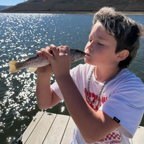 Cutthroat trout caught on Fishbrain