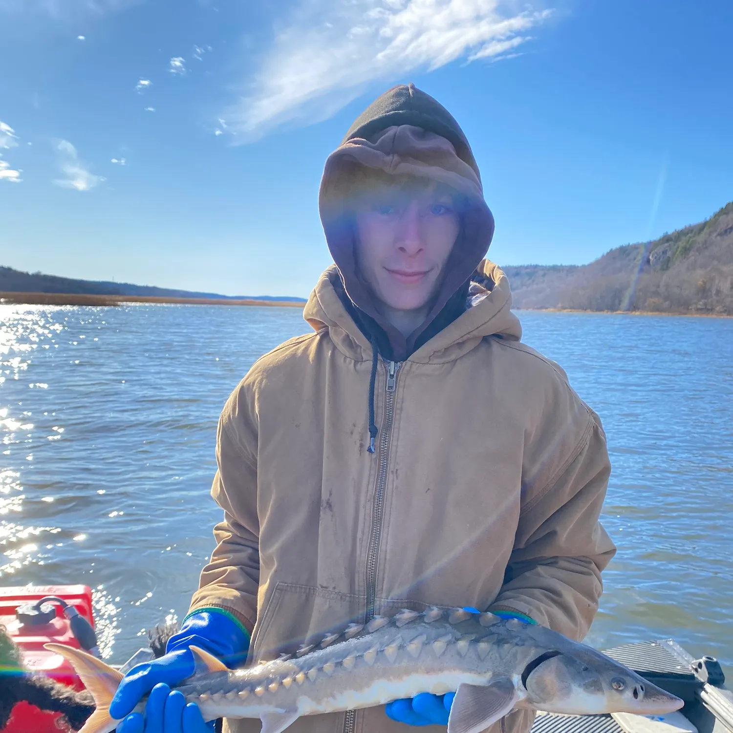 The most recent Shortnose sturgeon catches on Fishbrain