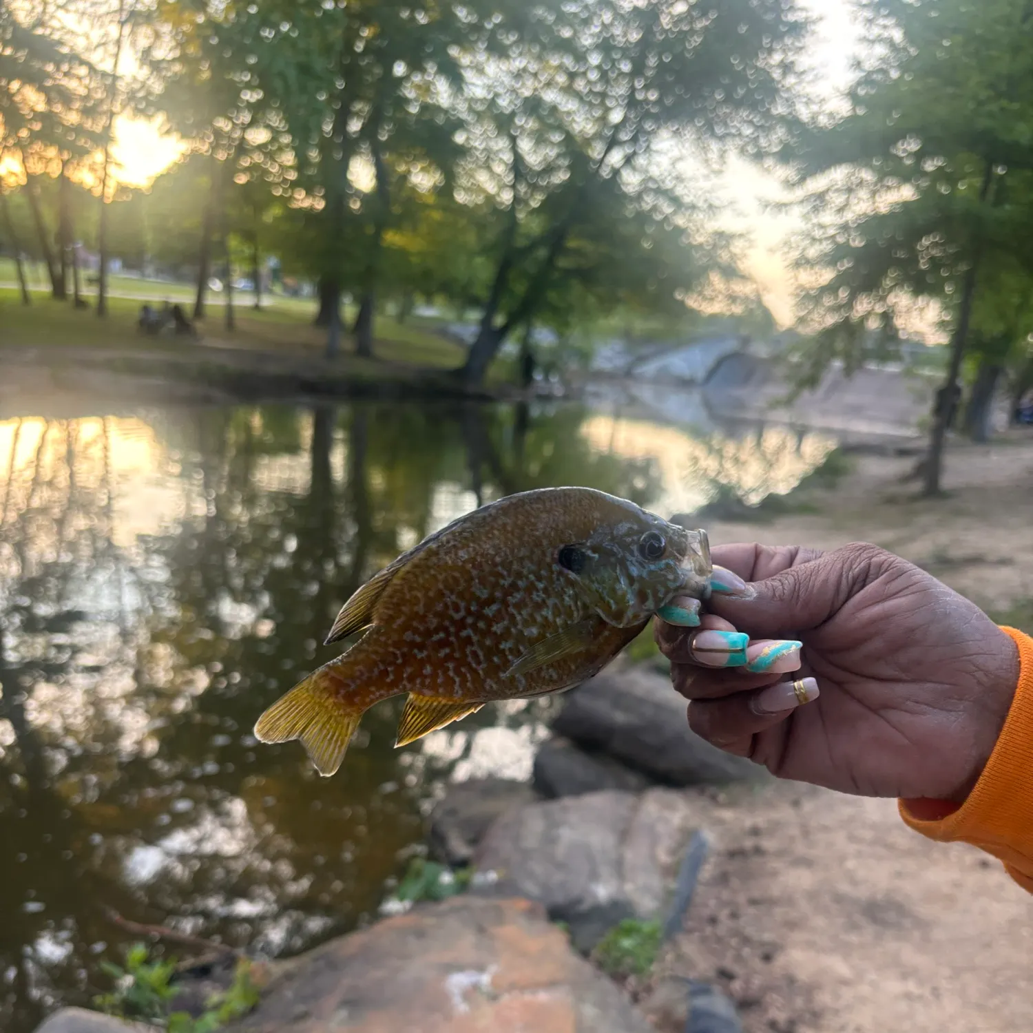 catch