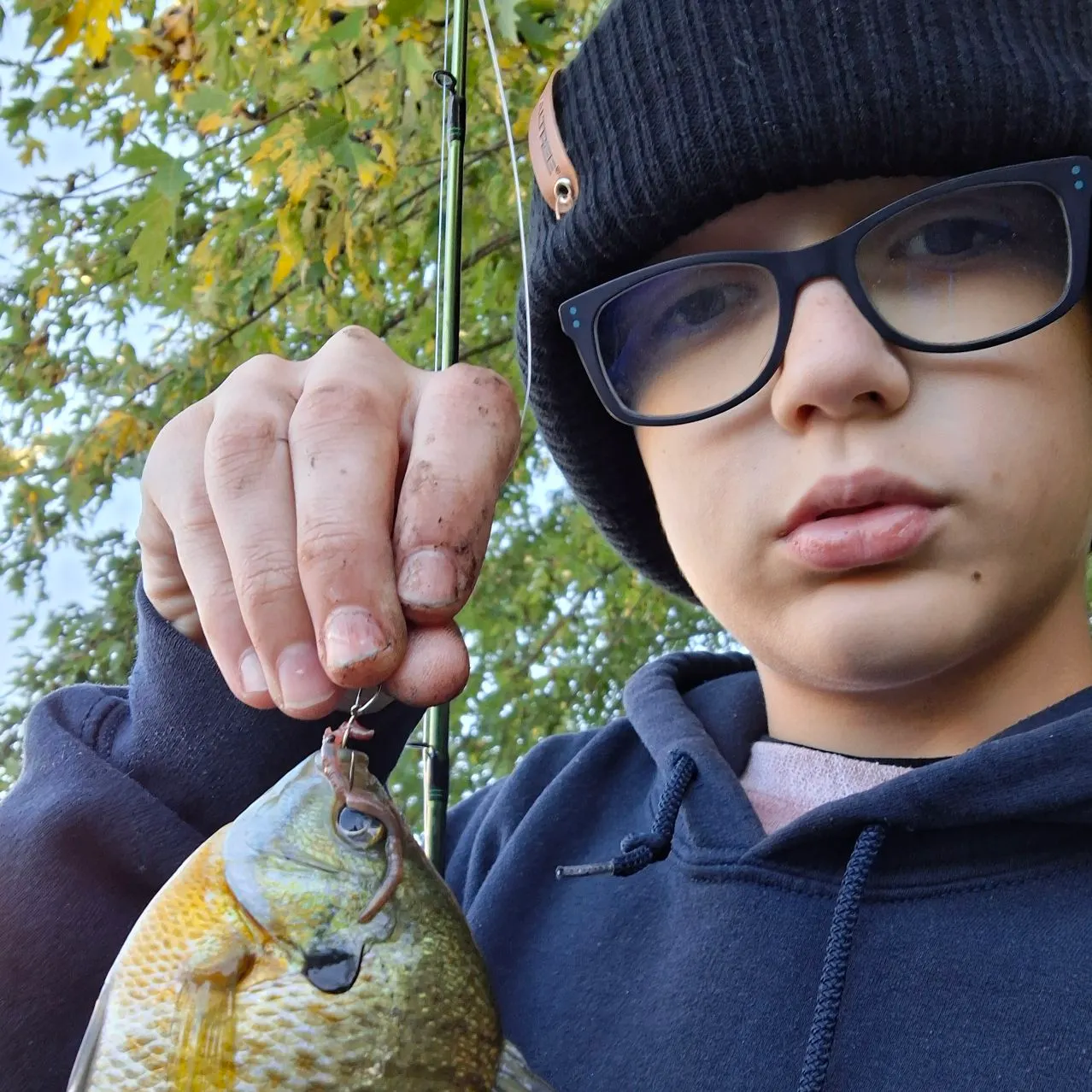 Bluegill caught on Fishbrain
