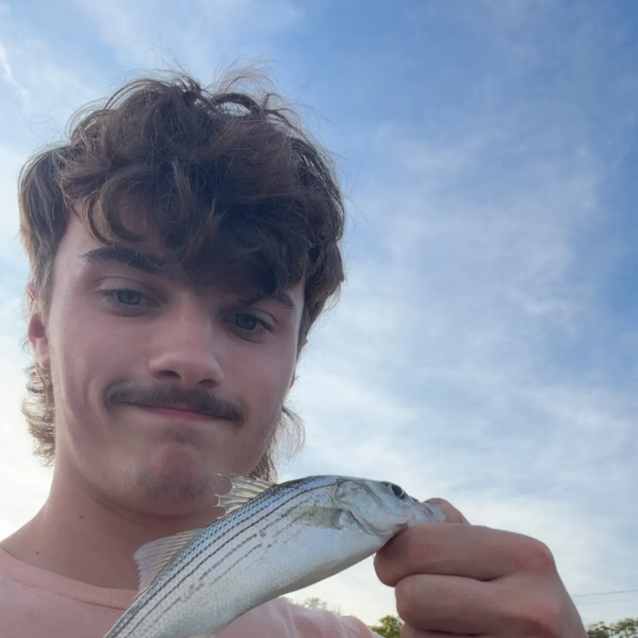 Striped bass caught on Fishbrain