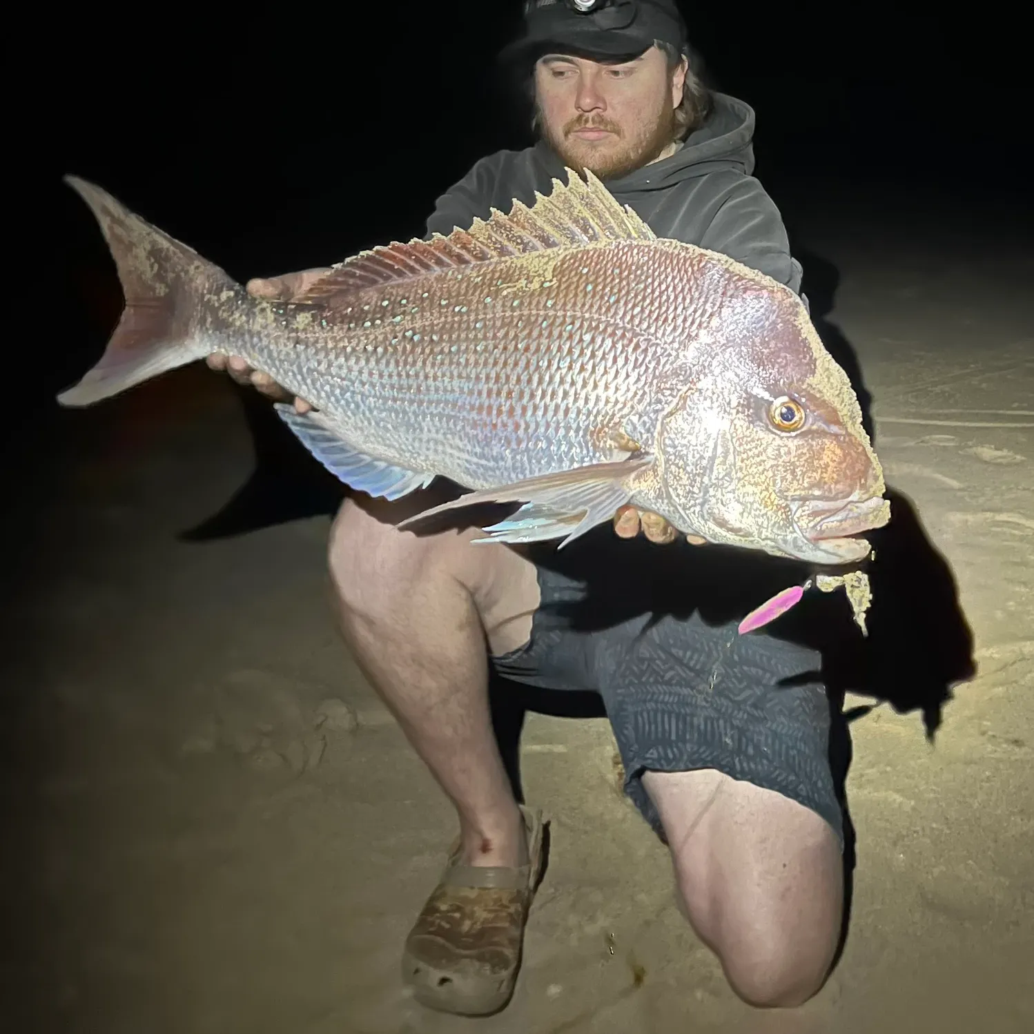 The most recent Australasian snapper catches on Fishbrain