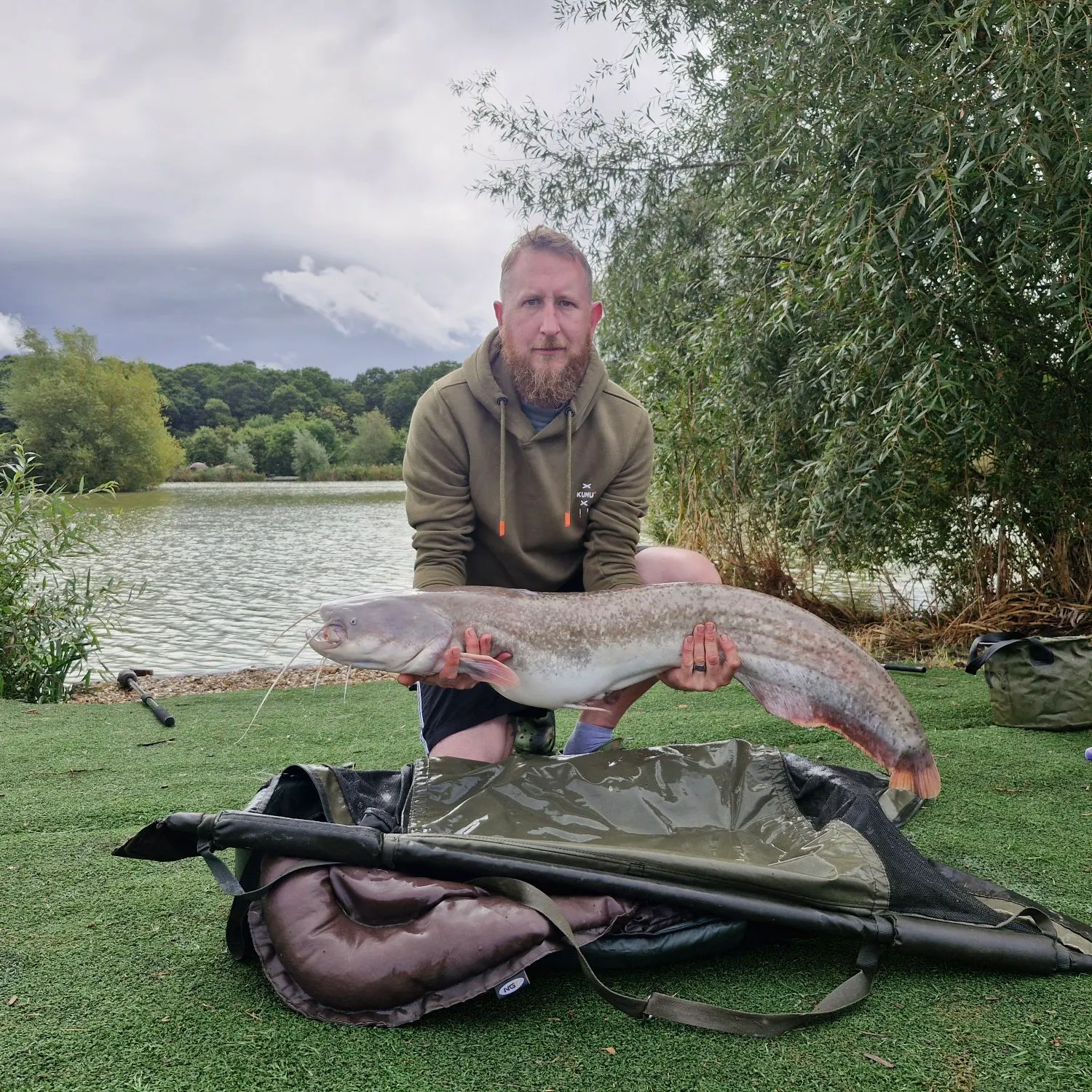 Wels catfish caught on Fishbrain
