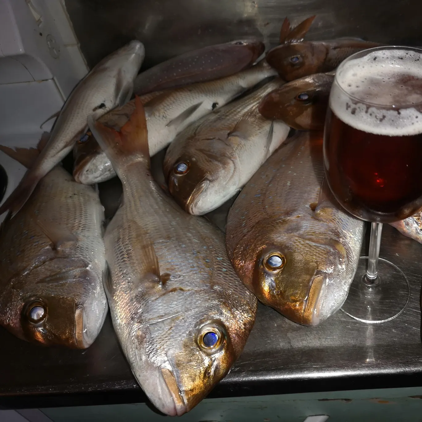 recently logged catches