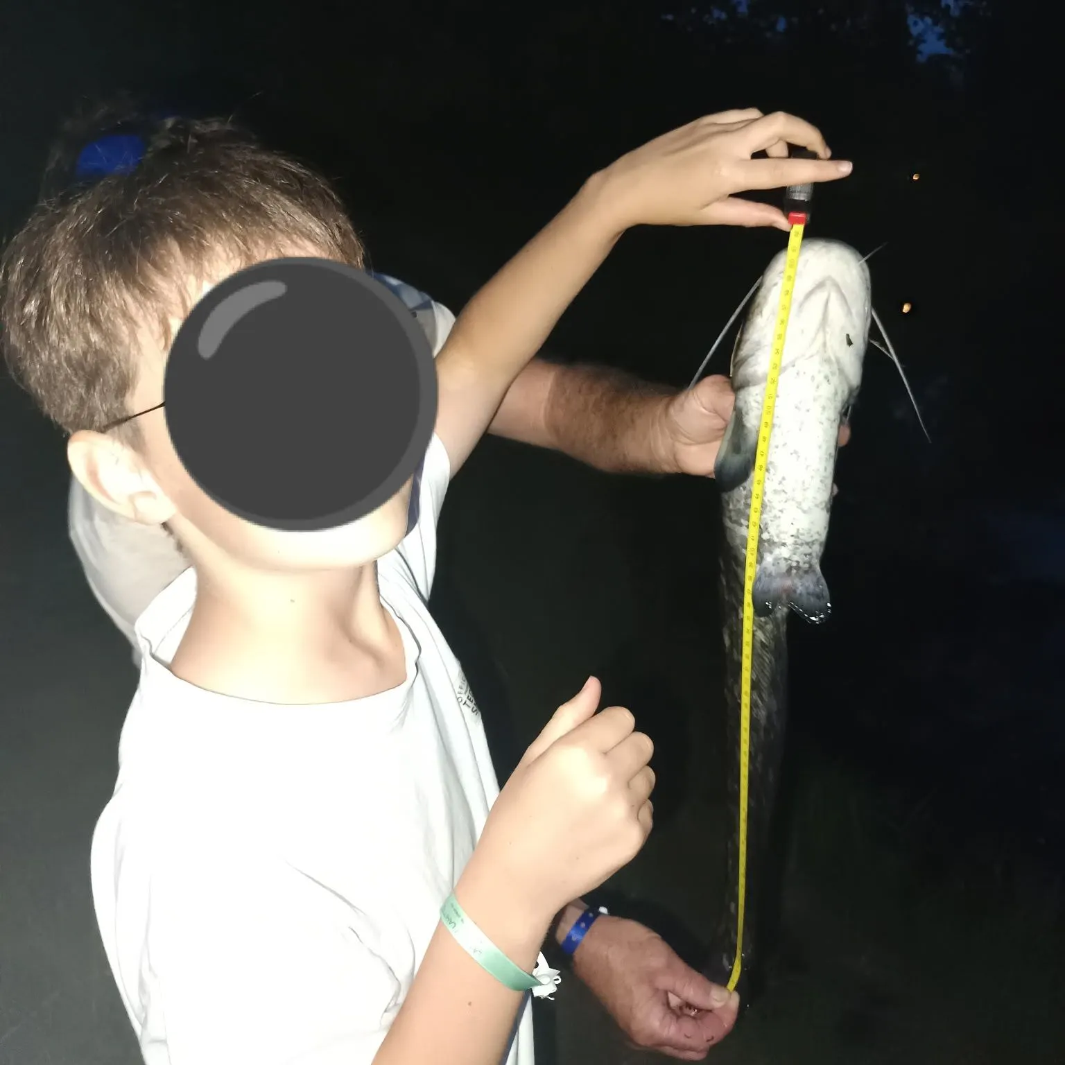 Amur catfish caught on Fishbrain