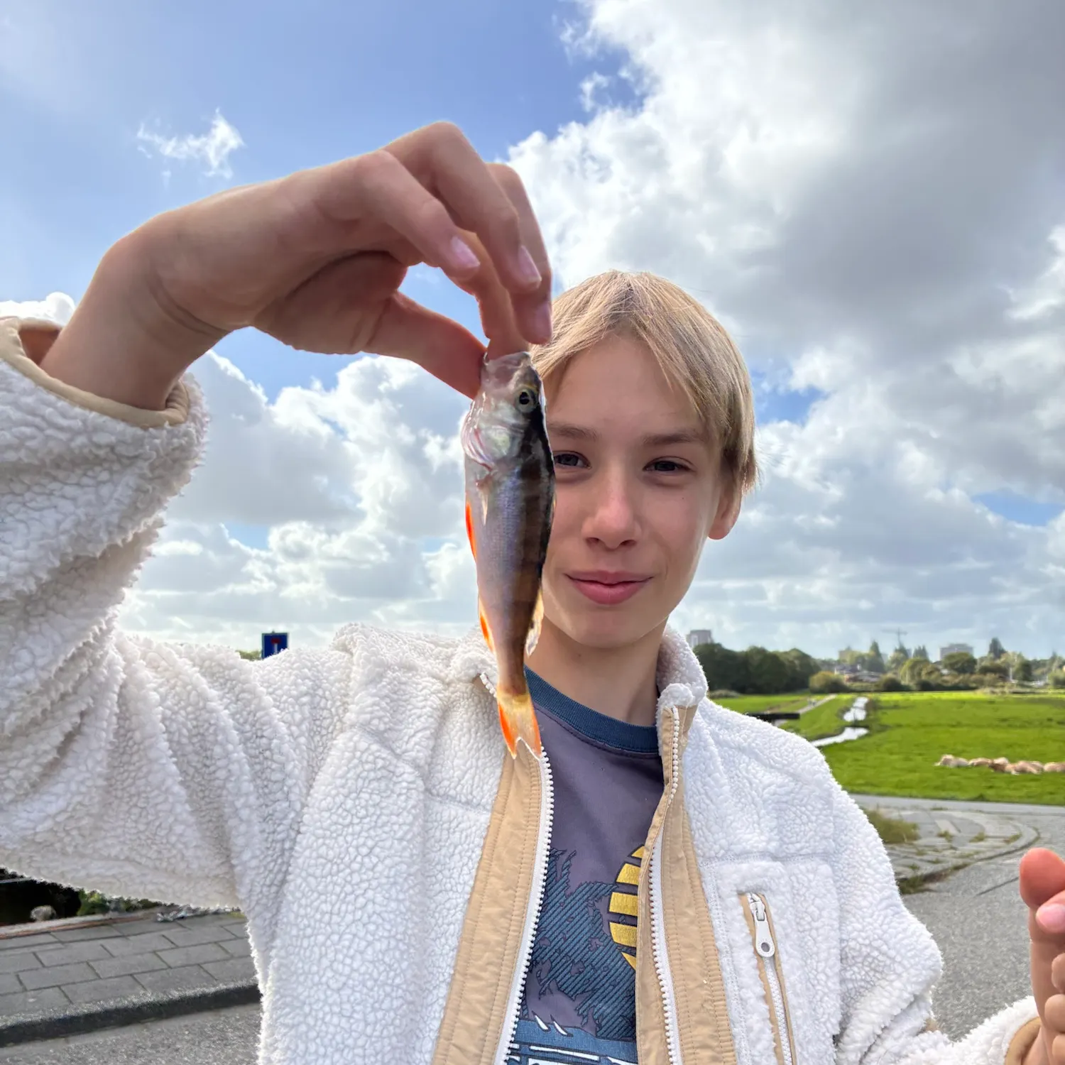 European perch caught on Fishbrain