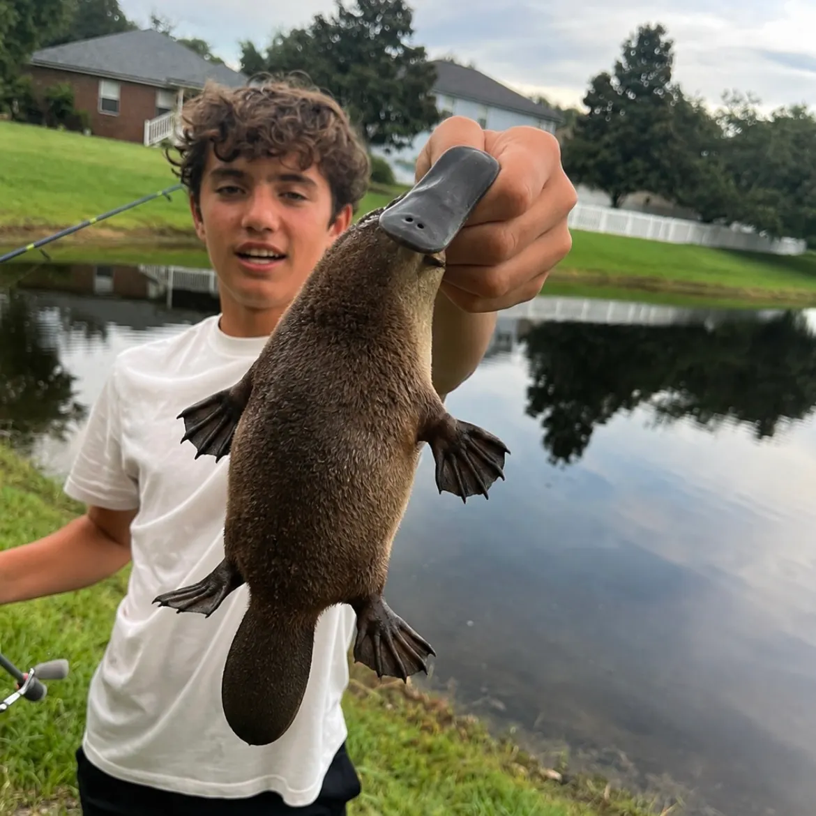 Fish caught on Fishbrain