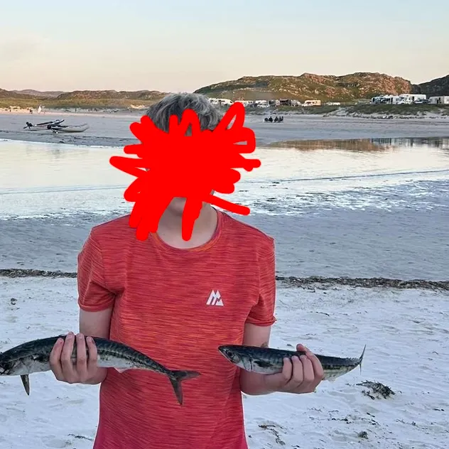 The most recent Atlantic mackerel catches on Fishbrain