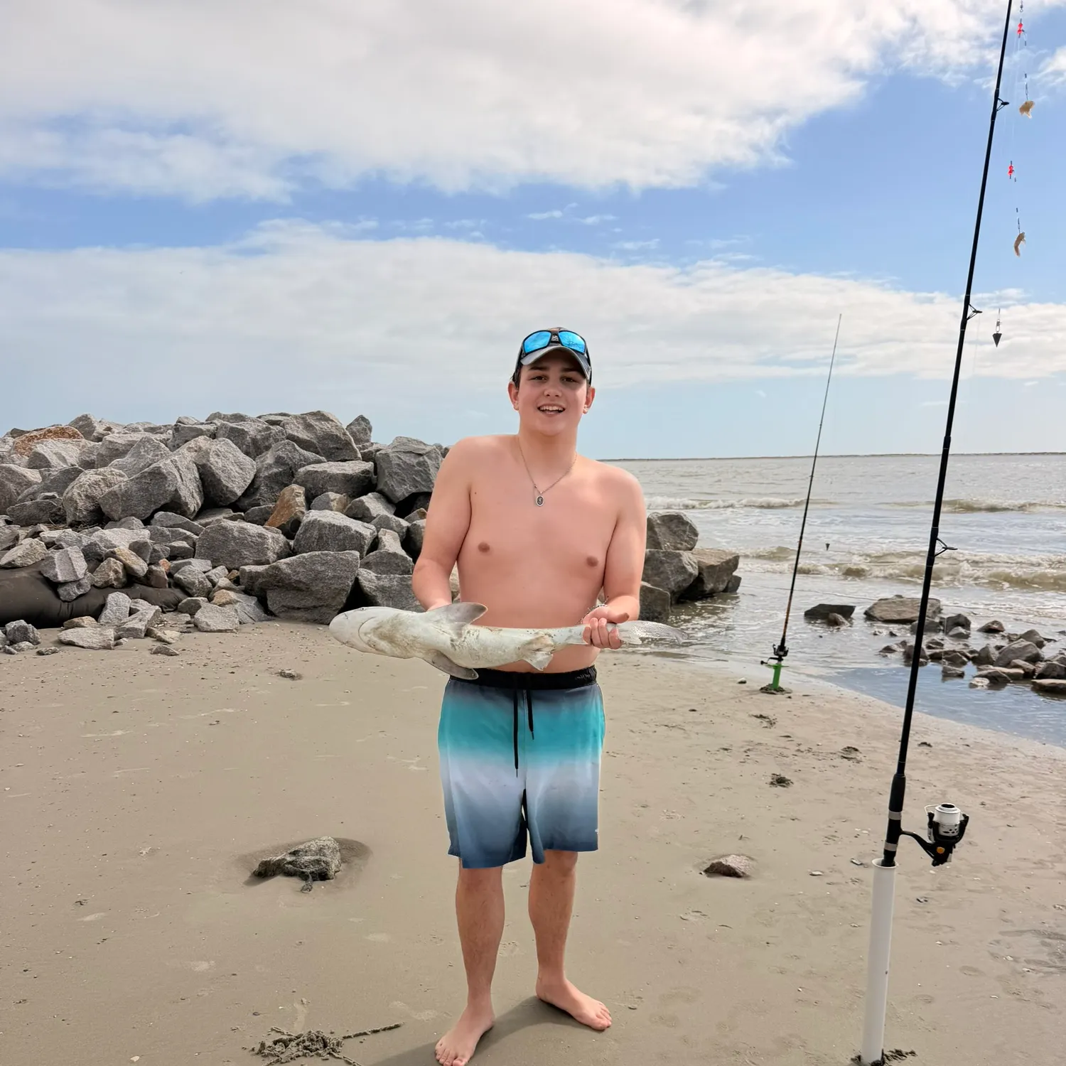 The most recent Atlantic sharpnose shark catches on Fishbrain