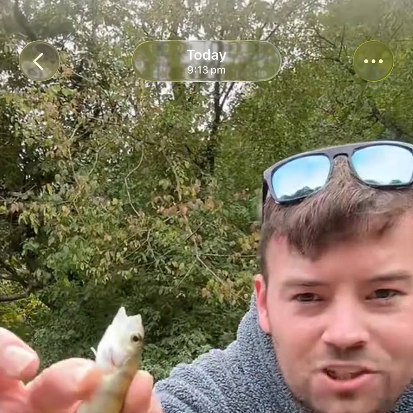 European perch caught on Fishbrain