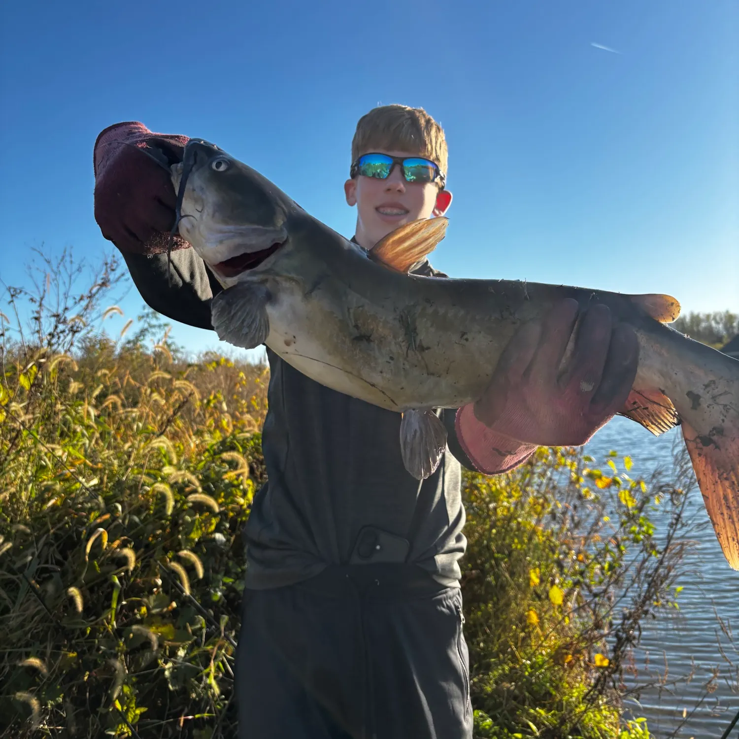 Channel catfish caught on Fishbrain