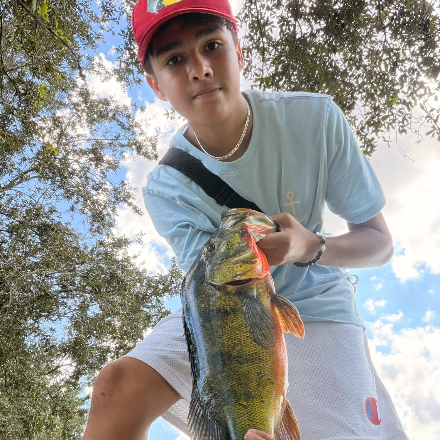 Butterfly peacock bass caught on Fishbrain