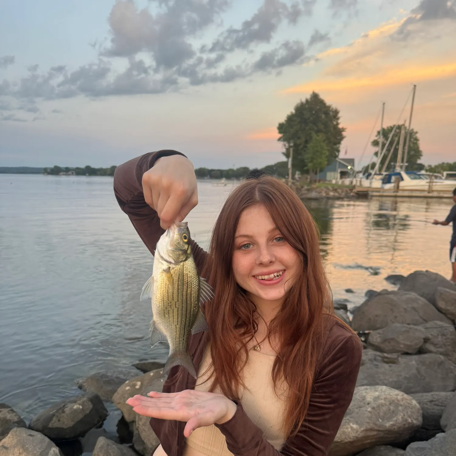 White bass caught on Fishbrain