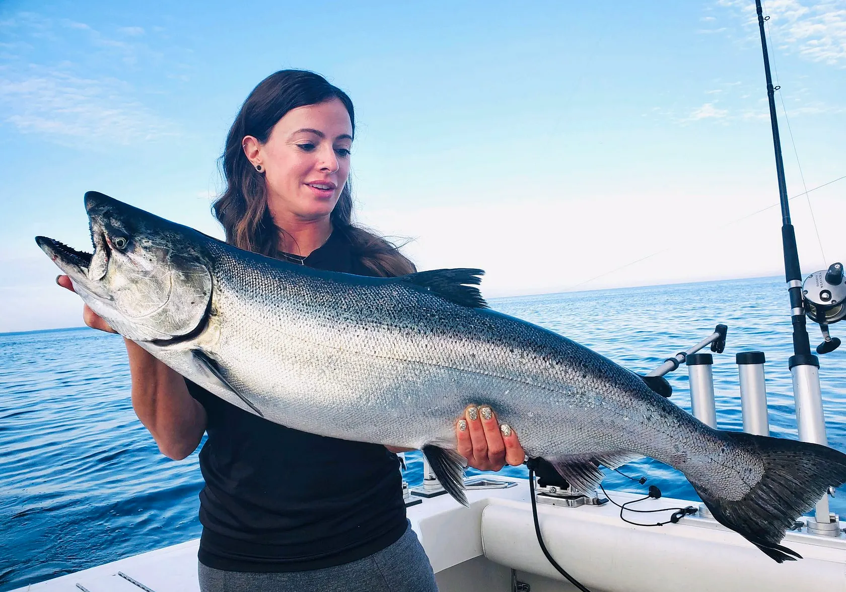 Chinook salmon