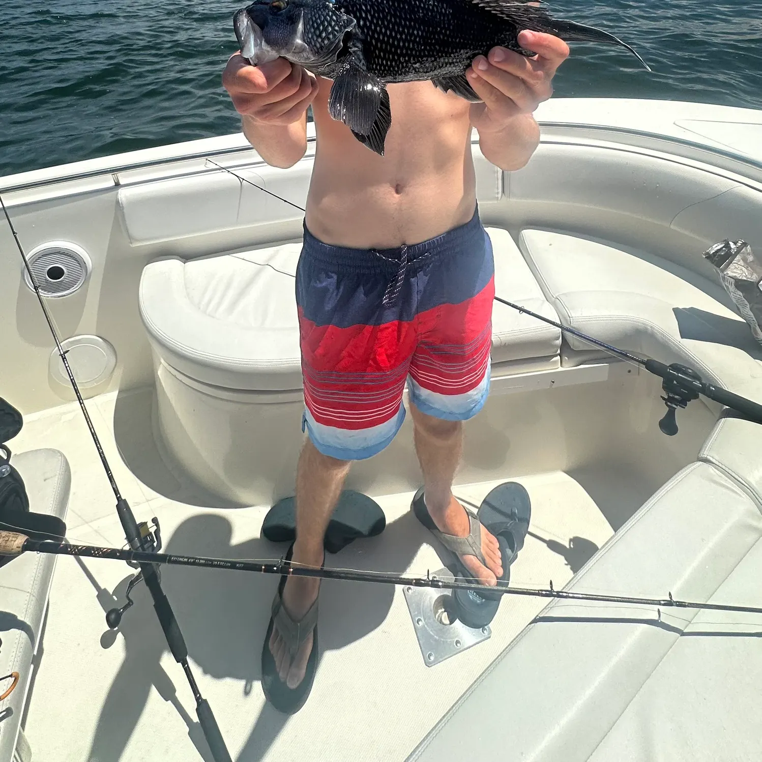 The most recent Black sea bass catches on Fishbrain