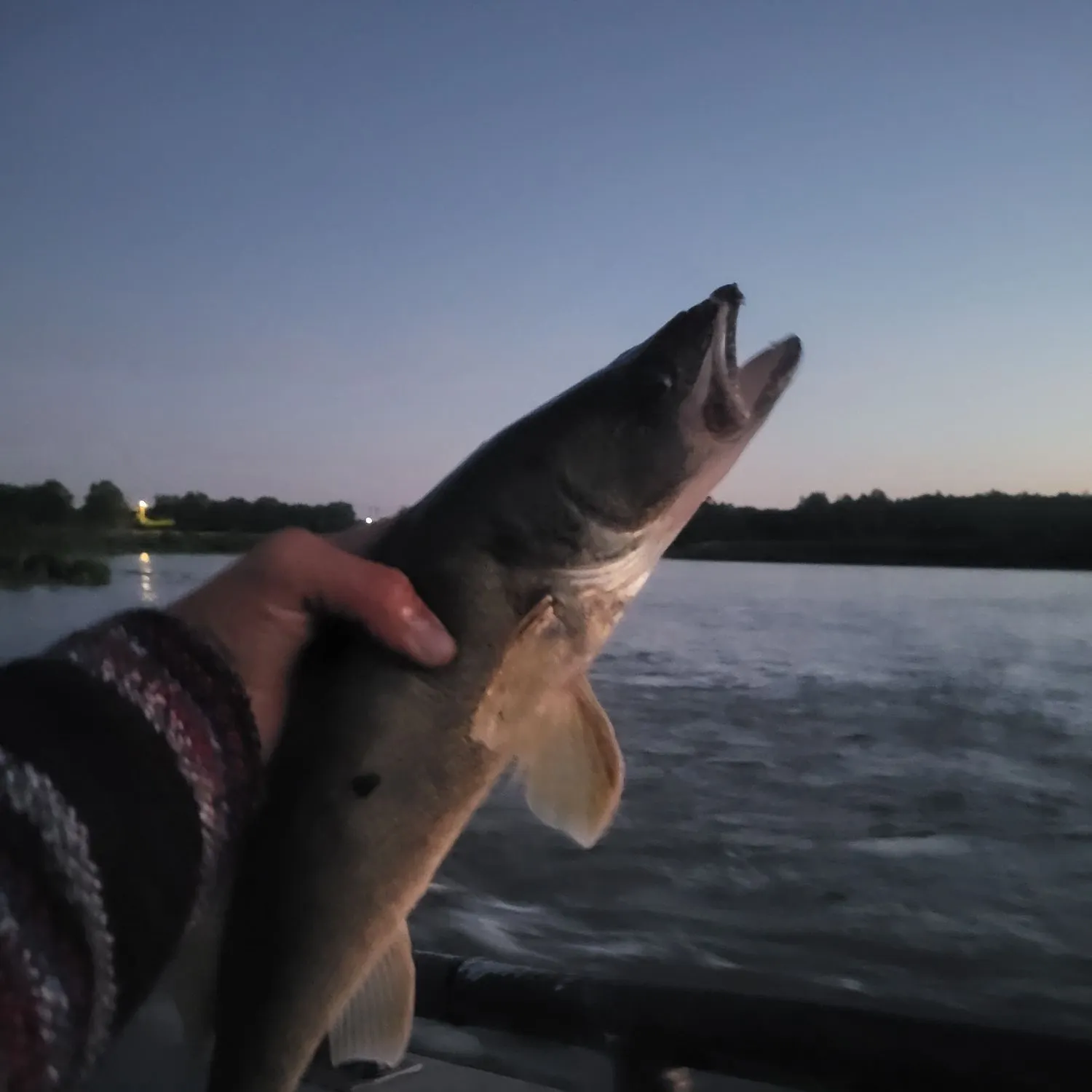 catch