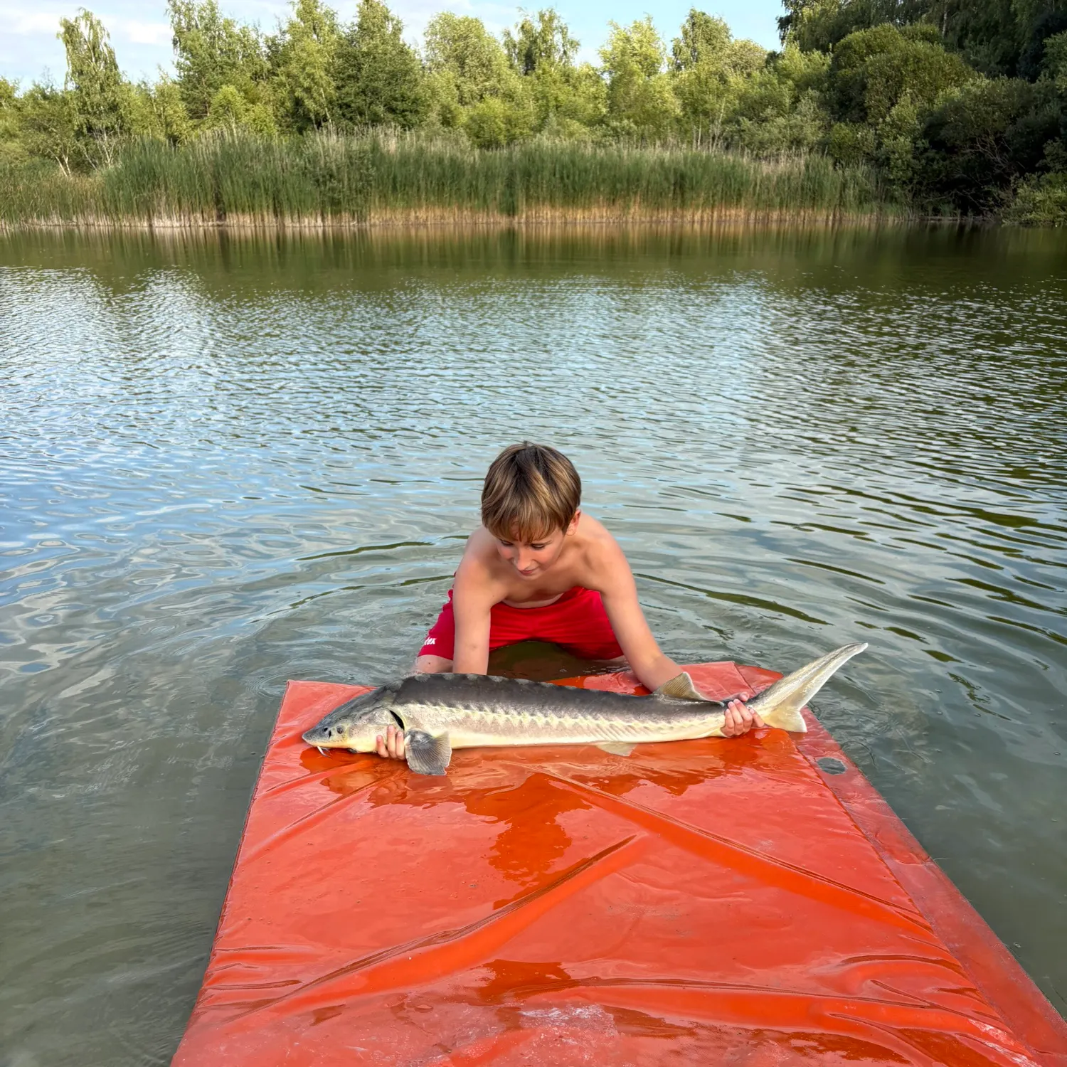 The most recent Russian sturgeon catches on Fishbrain
