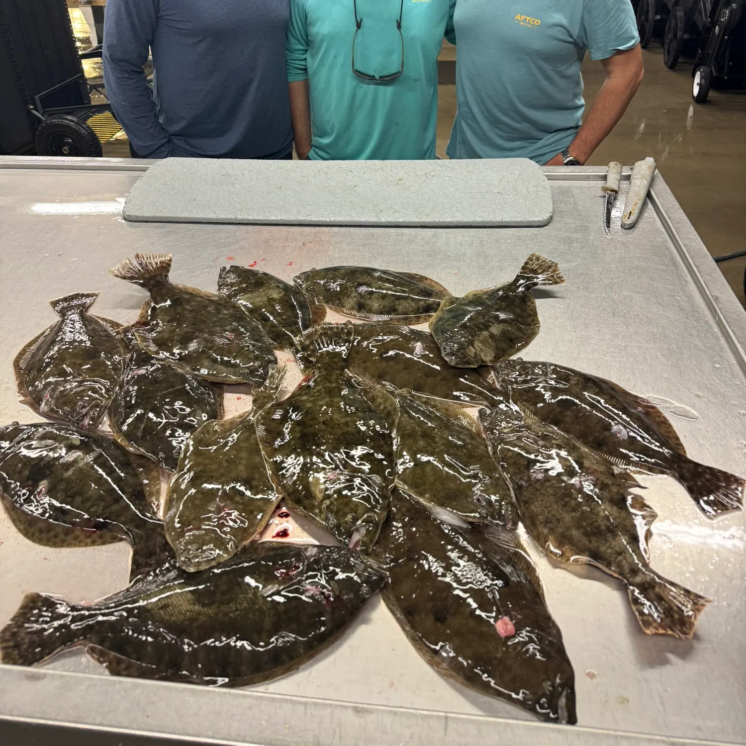 Summer flounder caught on Fishbrain