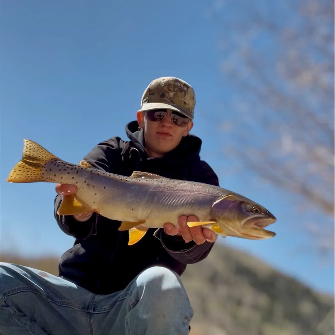 The most recent Yellowstone cutthroat trout catches on Fishbrain