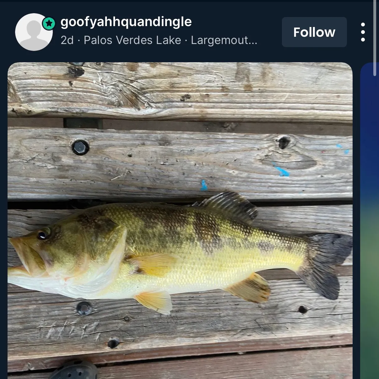 recently logged catches