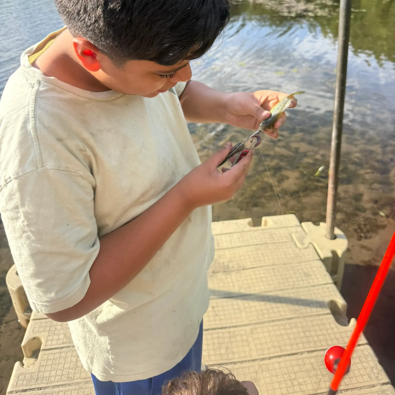 The most recent Pumpkinseed catches on Fishbrain