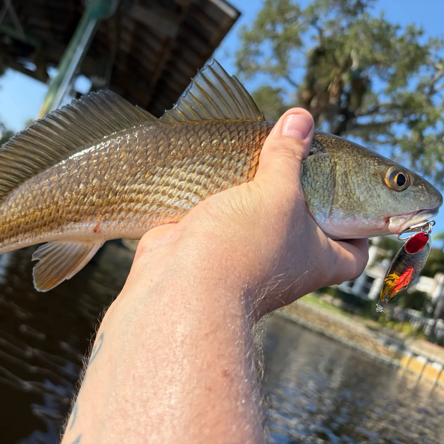 catch