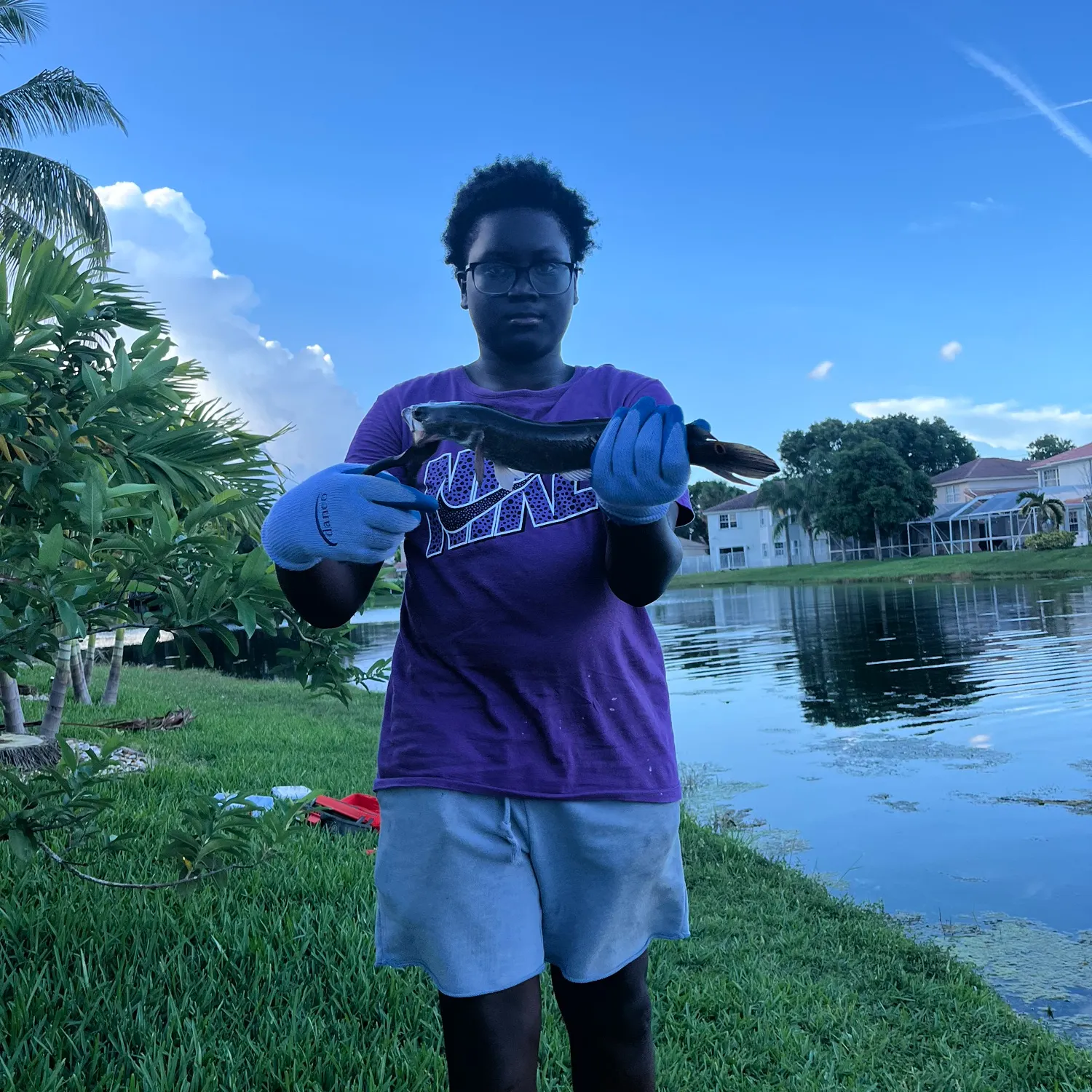 The most recent Small snakehead catches on Fishbrain