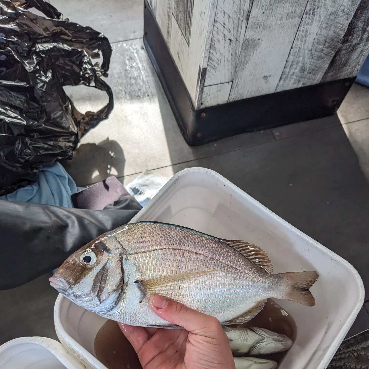 catch