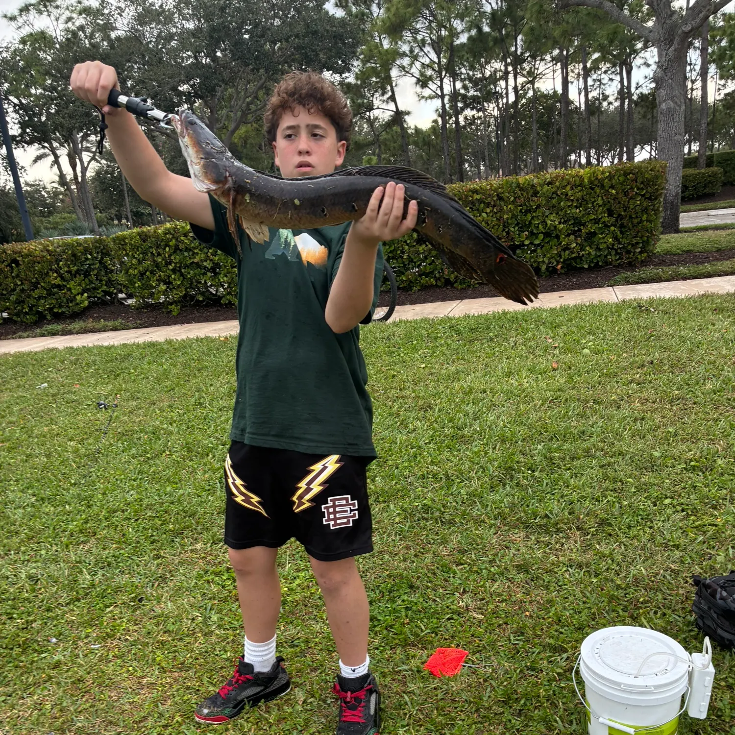 The most recent Bullseye snakehead catches on Fishbrain