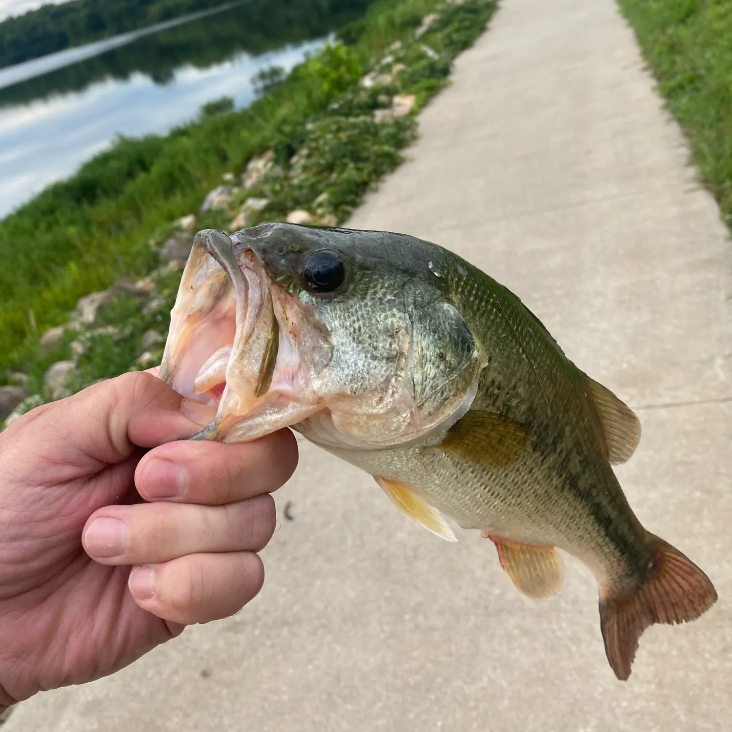 catch