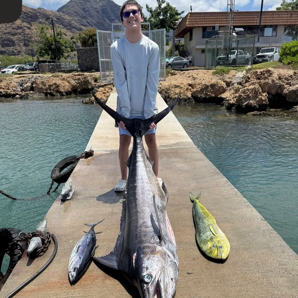 The most recent Swordfish catches on Fishbrain