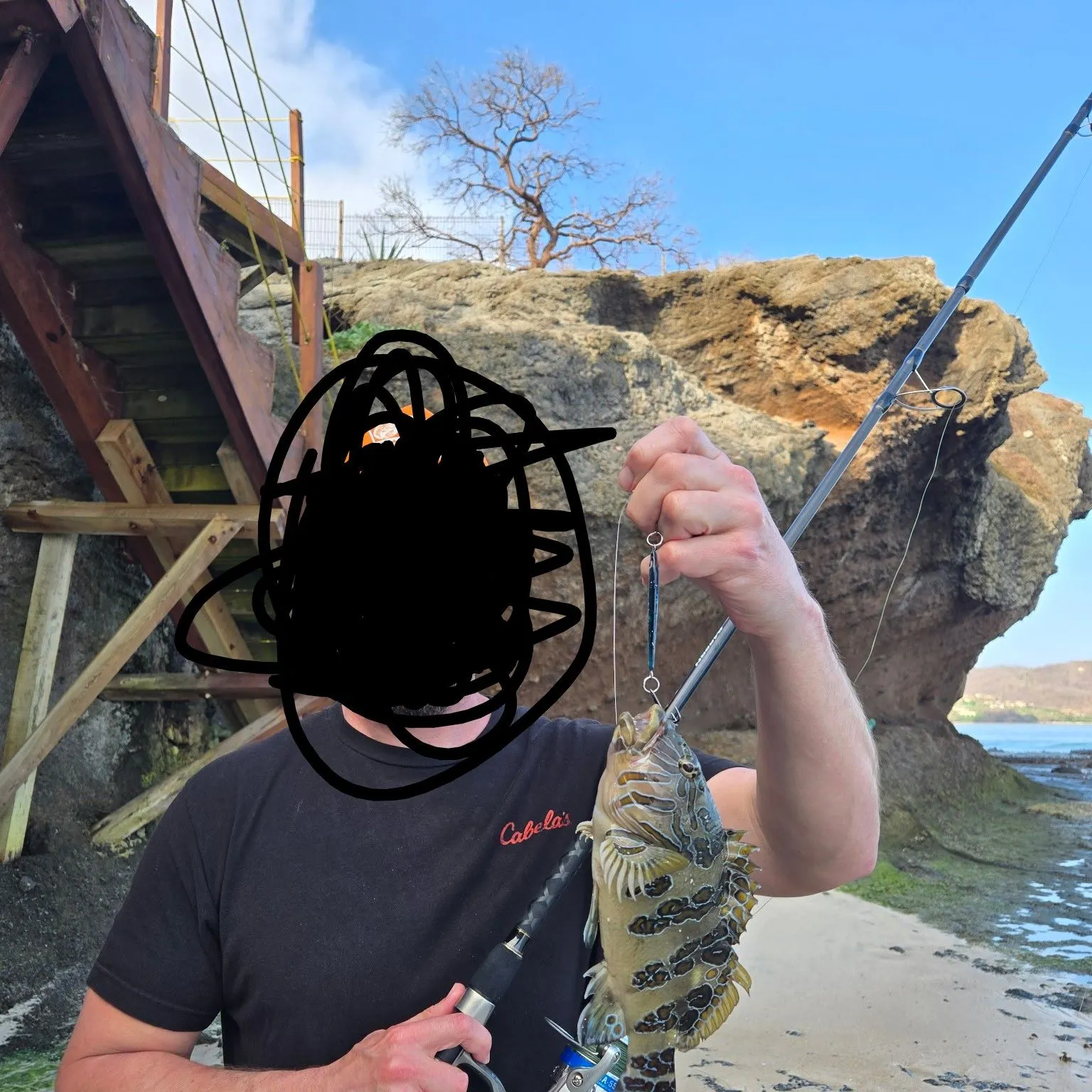 The most recent Giant hawkfish catches on Fishbrain