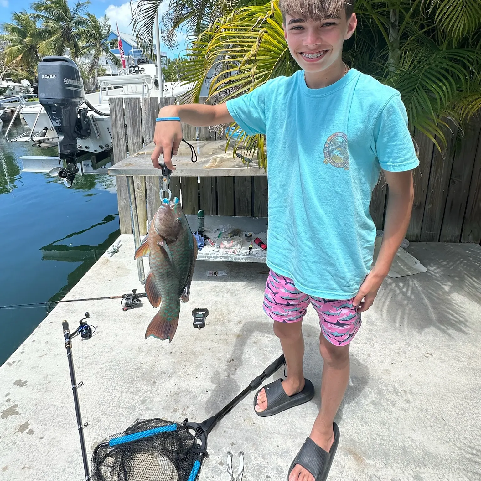 The most recent Common parrotfish catches on Fishbrain
