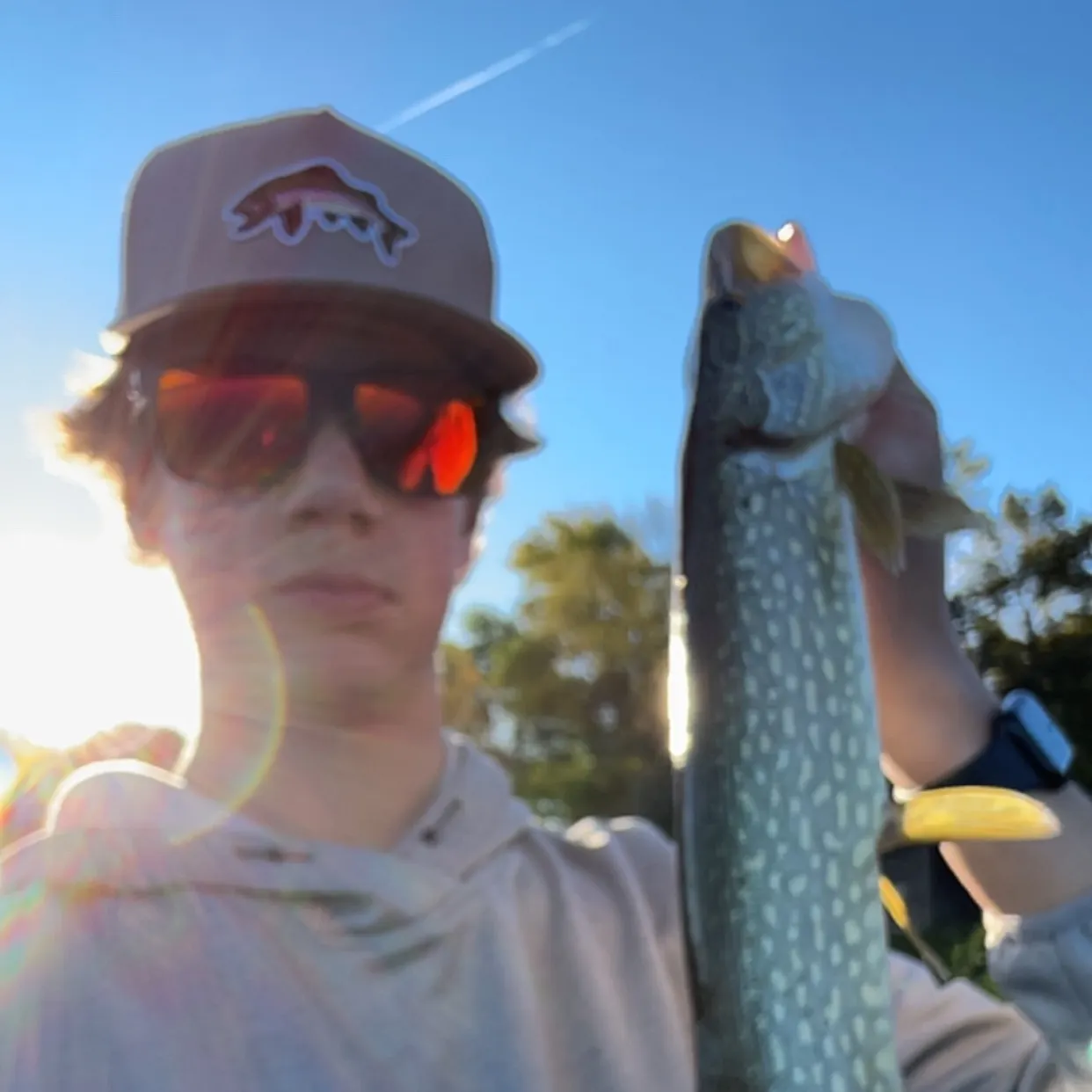 Northern pike caught on Fishbrain
