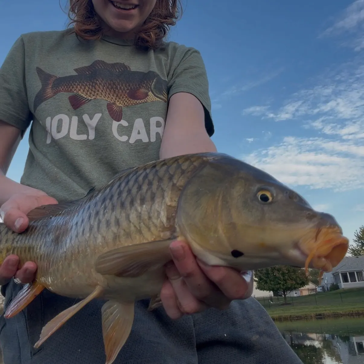 Common carp caught on Fishbrain