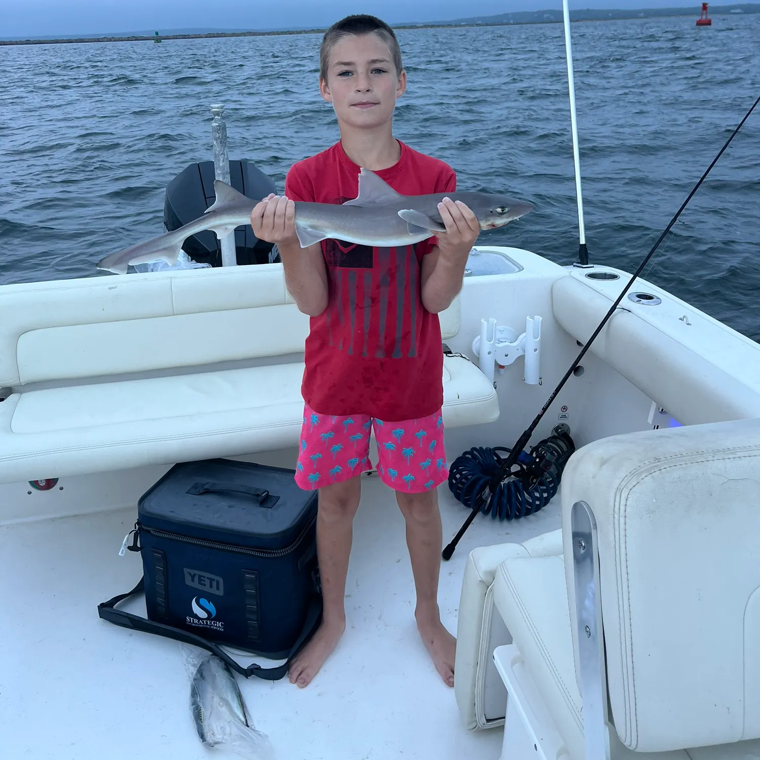 The most recent Atlantic sharpnose shark catches on Fishbrain