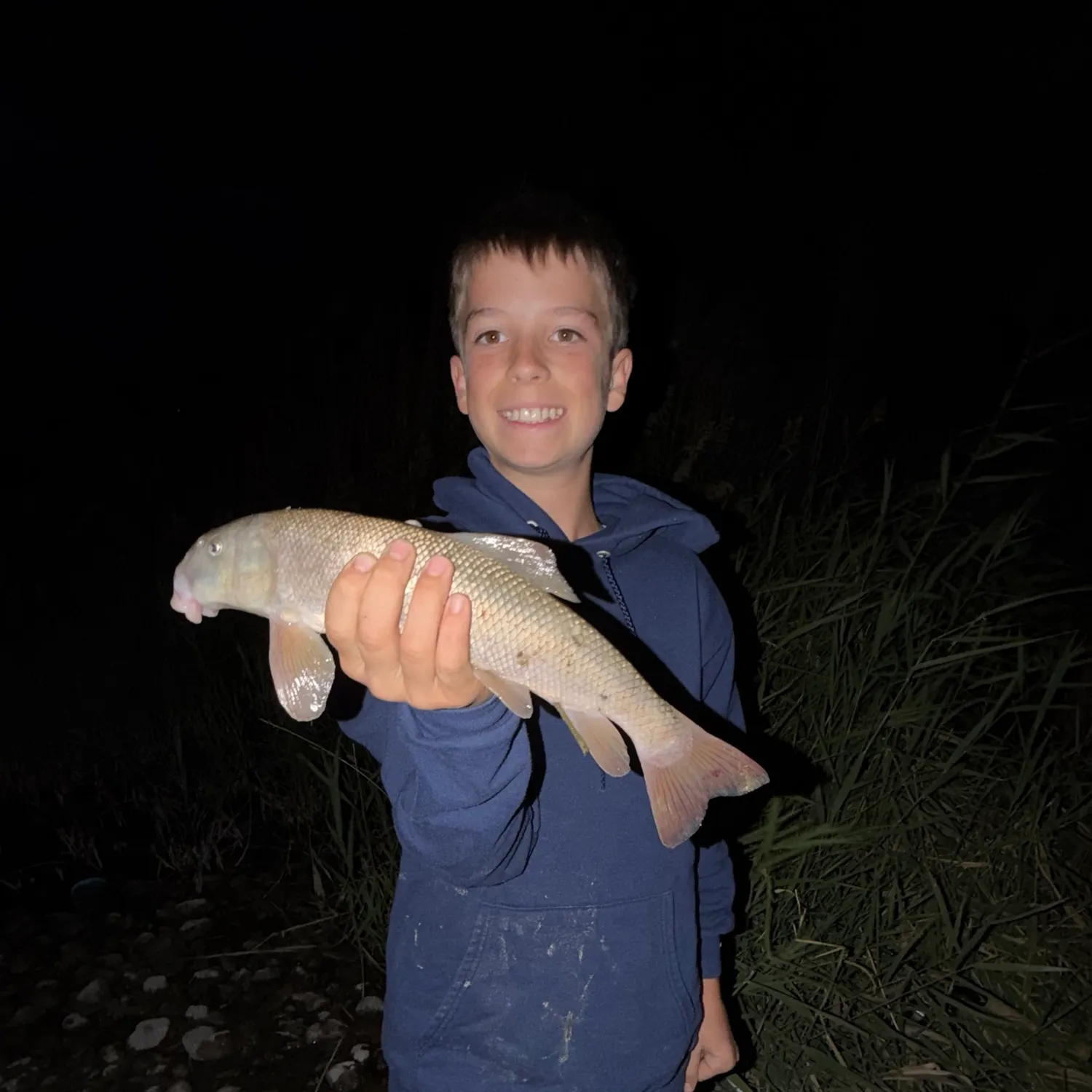 The most recent Utah sucker catches on Fishbrain