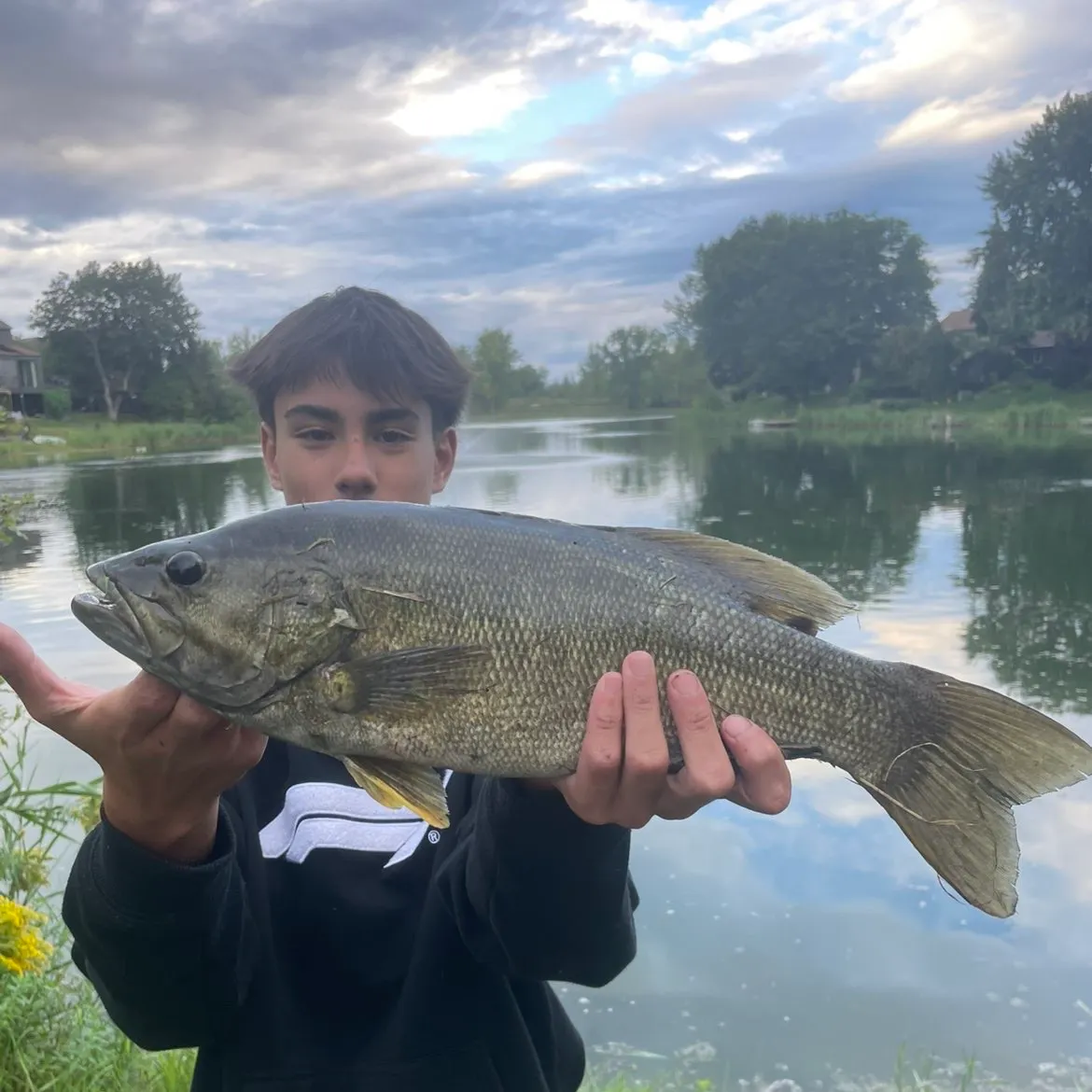 Smallmouth bass caught on Fishbrain