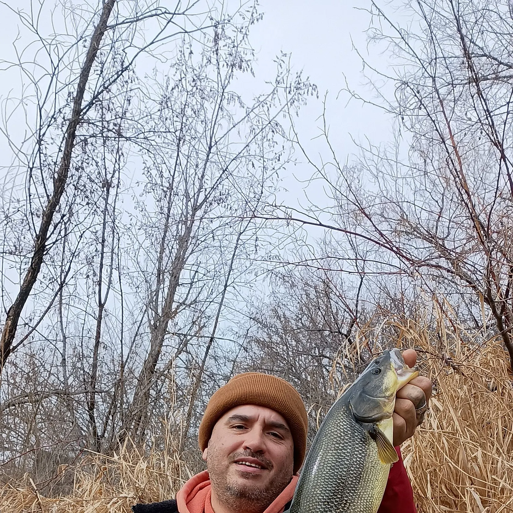 The most recent Northern pikeminnow catches on Fishbrain