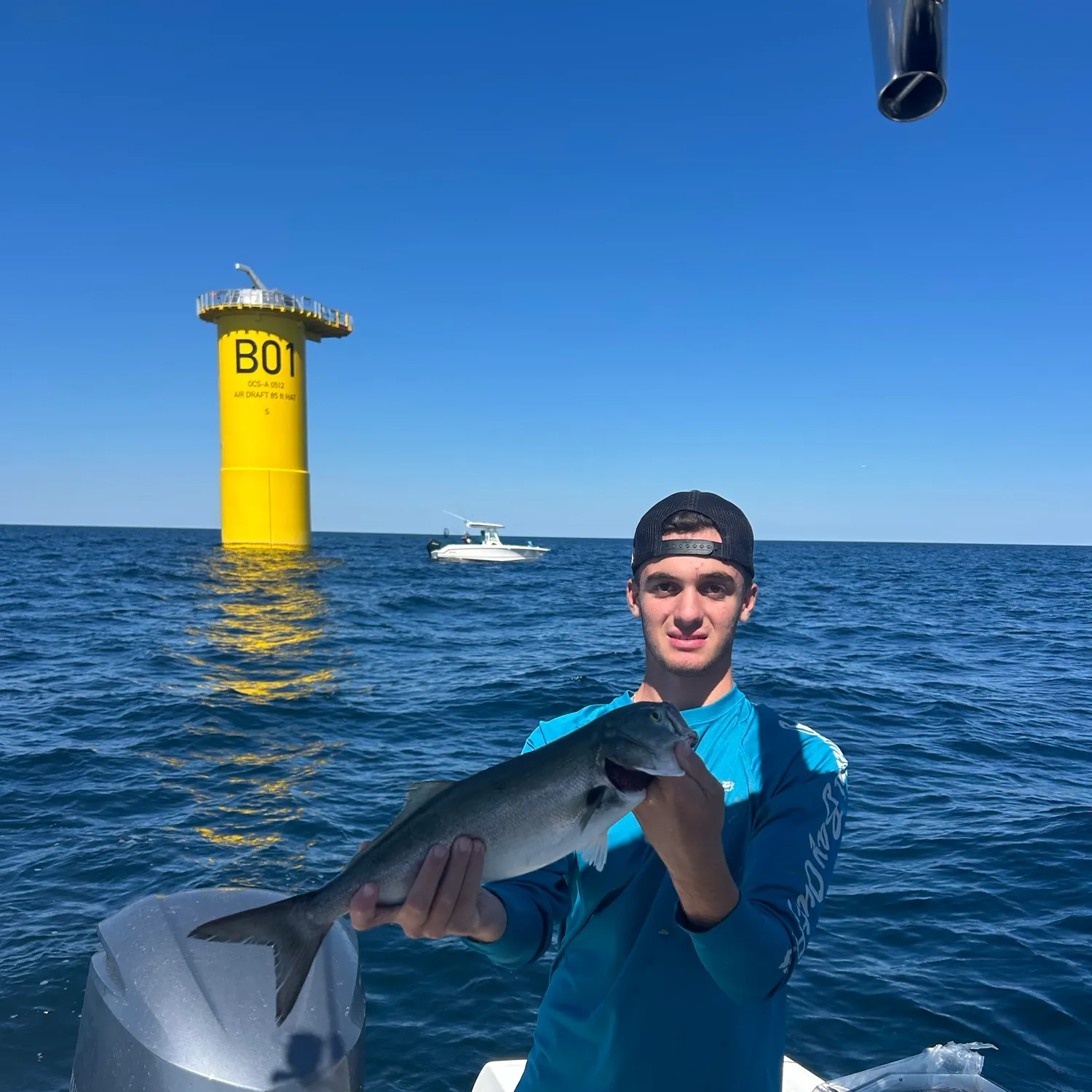 Bluefish caught on Fishbrain