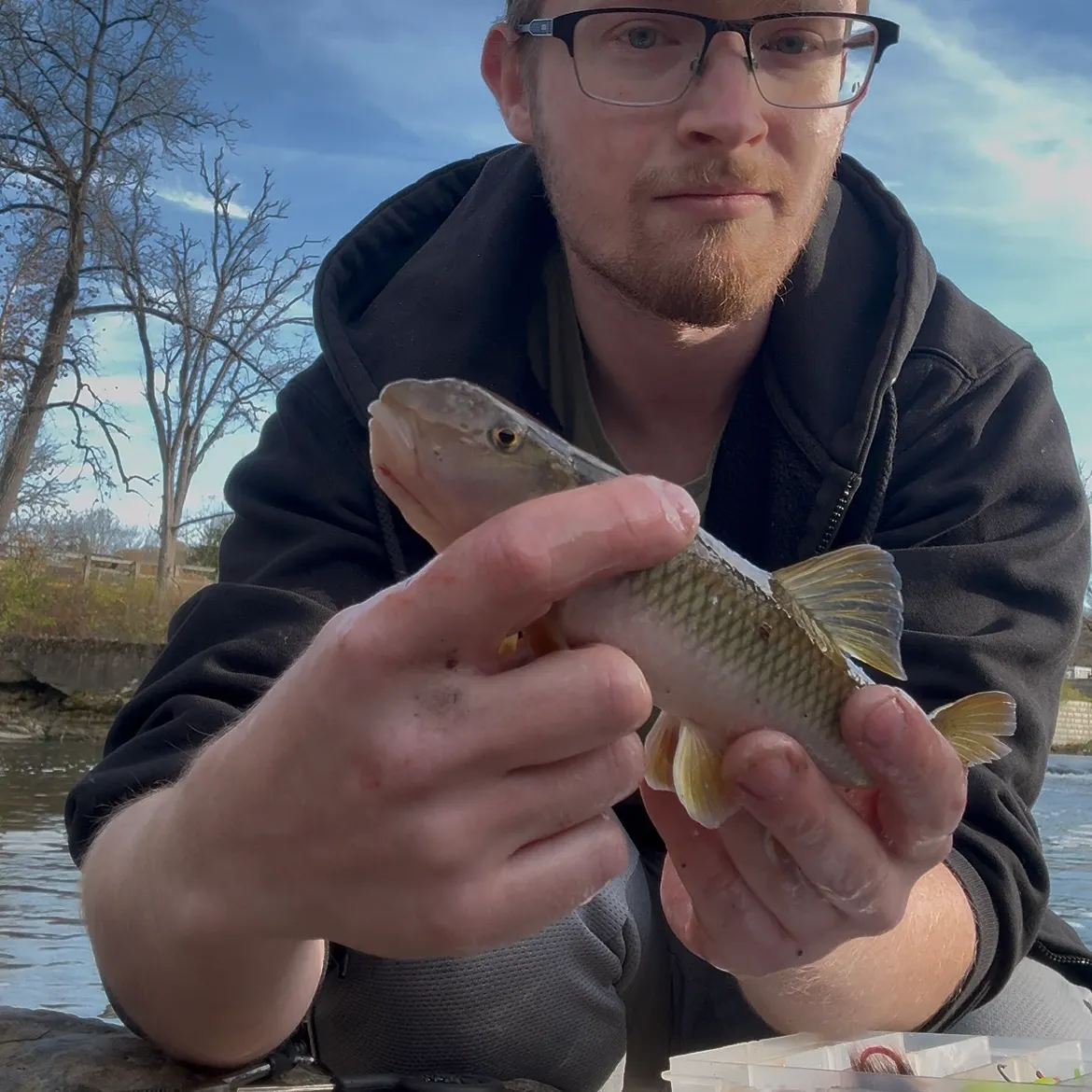 The most recent River chub catches on Fishbrain