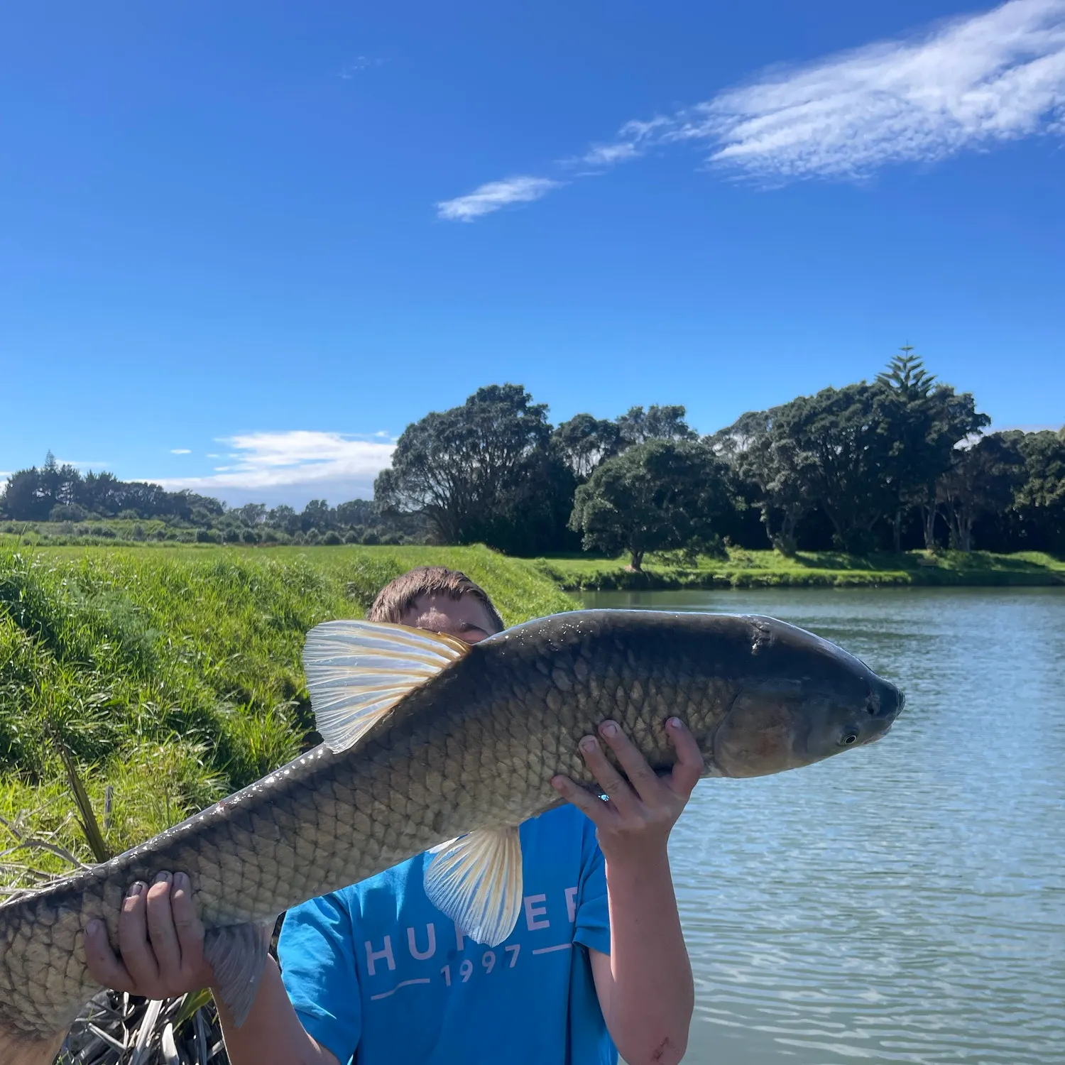 Grass carp caught on Fishbrain