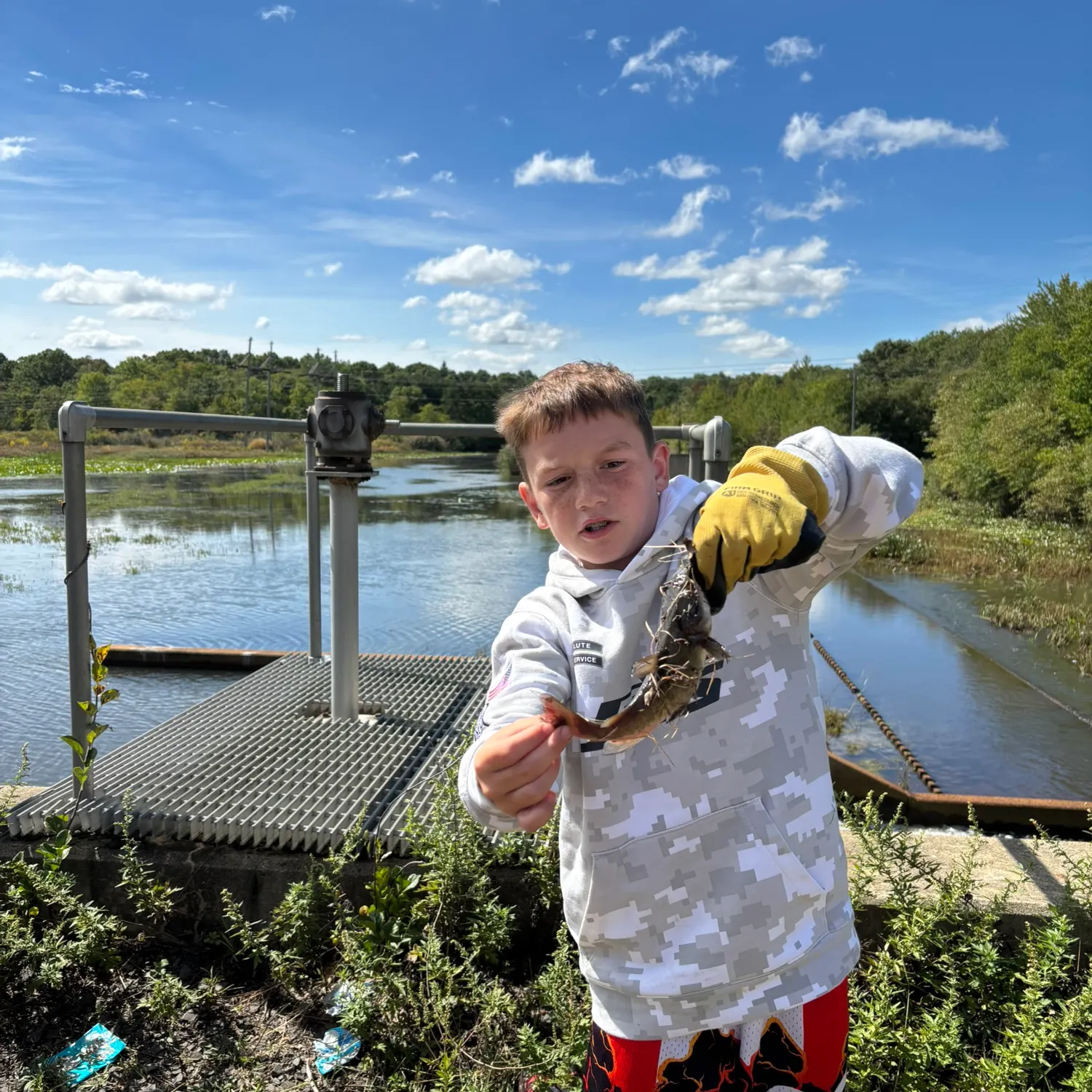 Channel catfish caught on Fishbrain