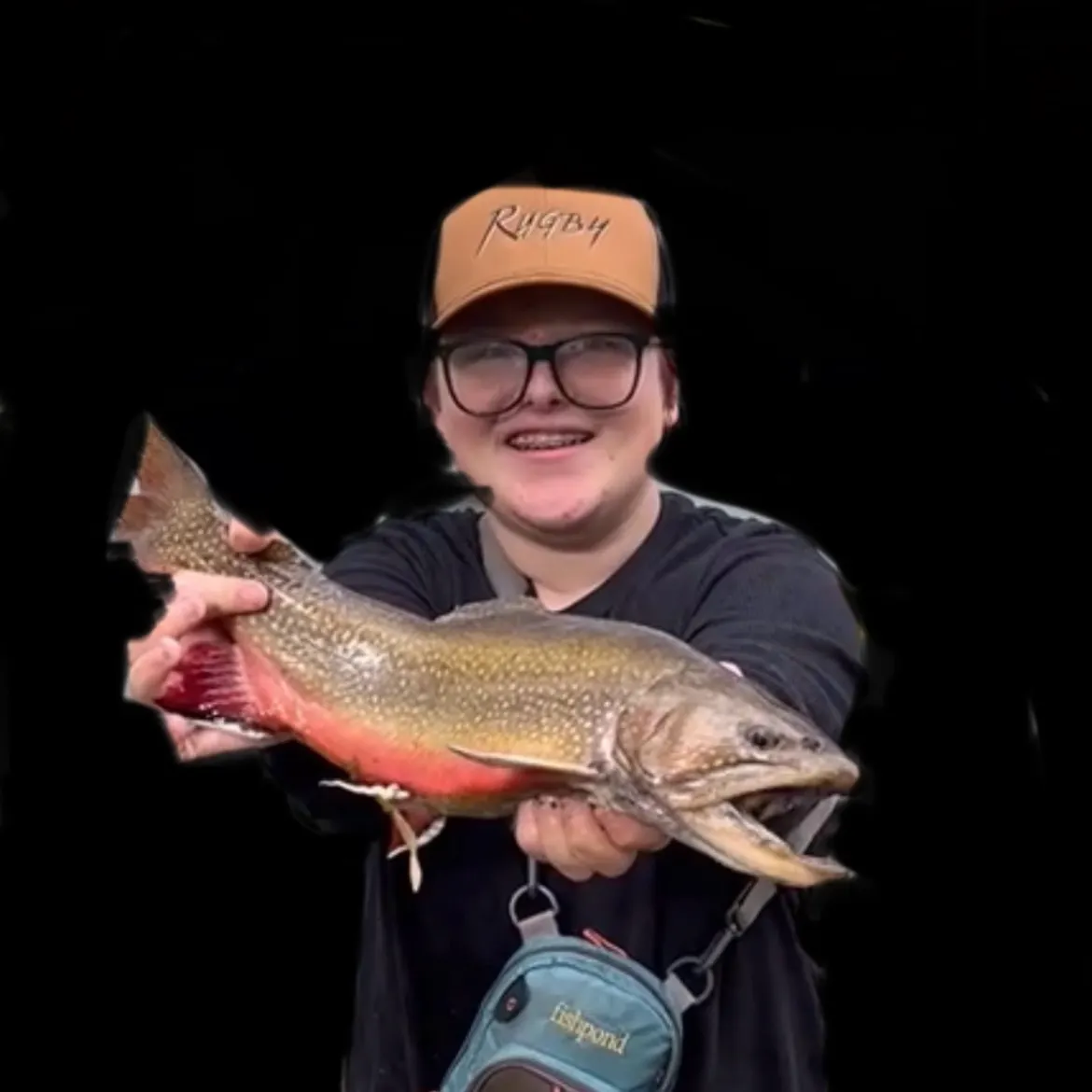 Brook trout caught on Fishbrain